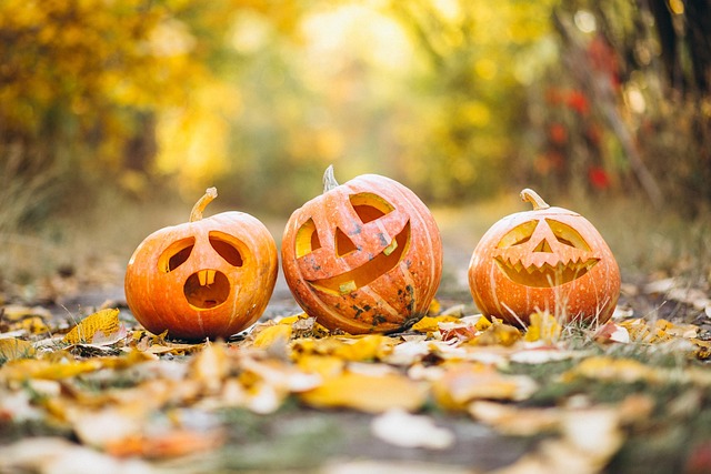 Centre aéré Halloween